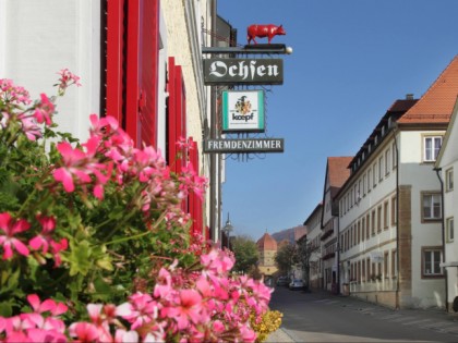 Foto: Roter Ochsen