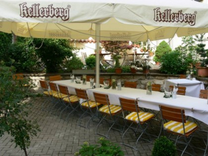 Foto: Roter Ochsen